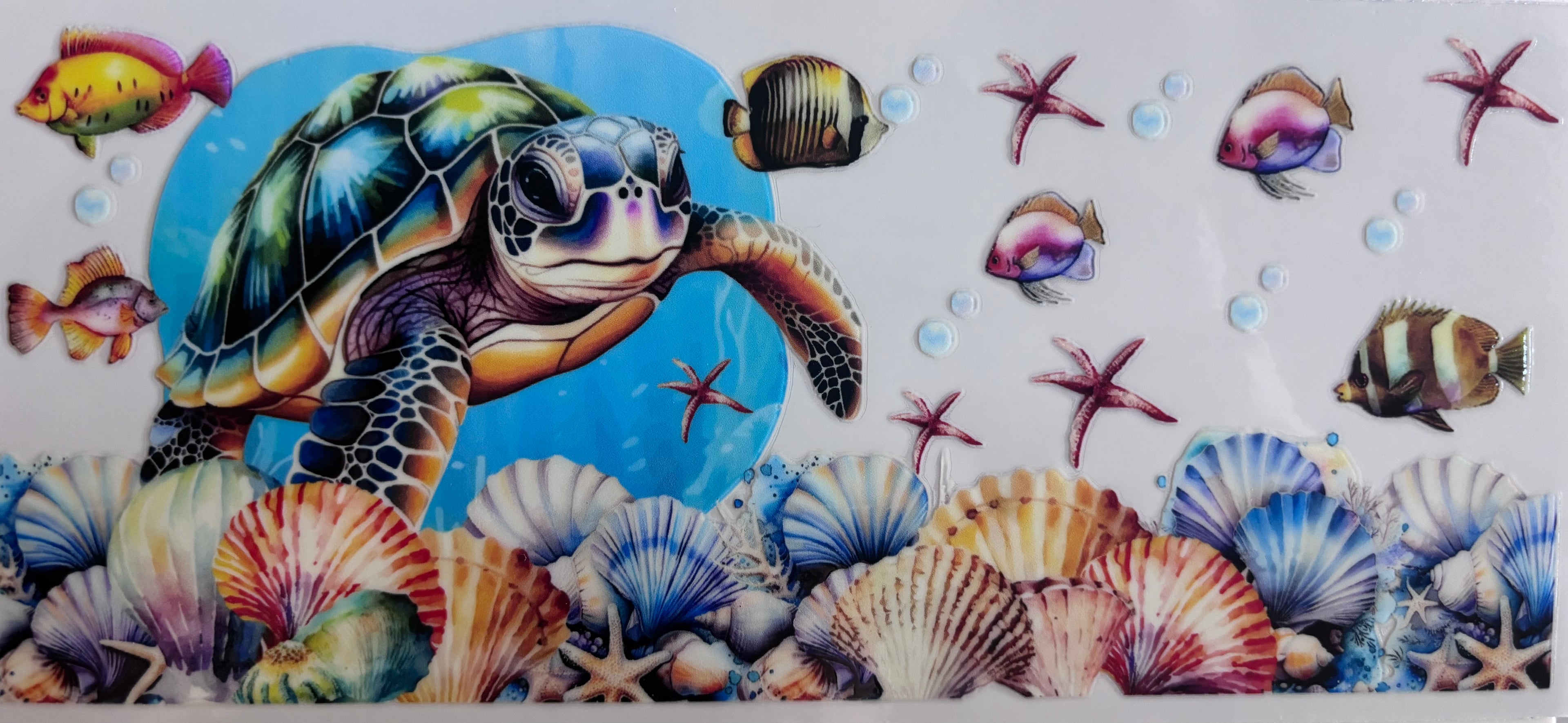 Turtle 3