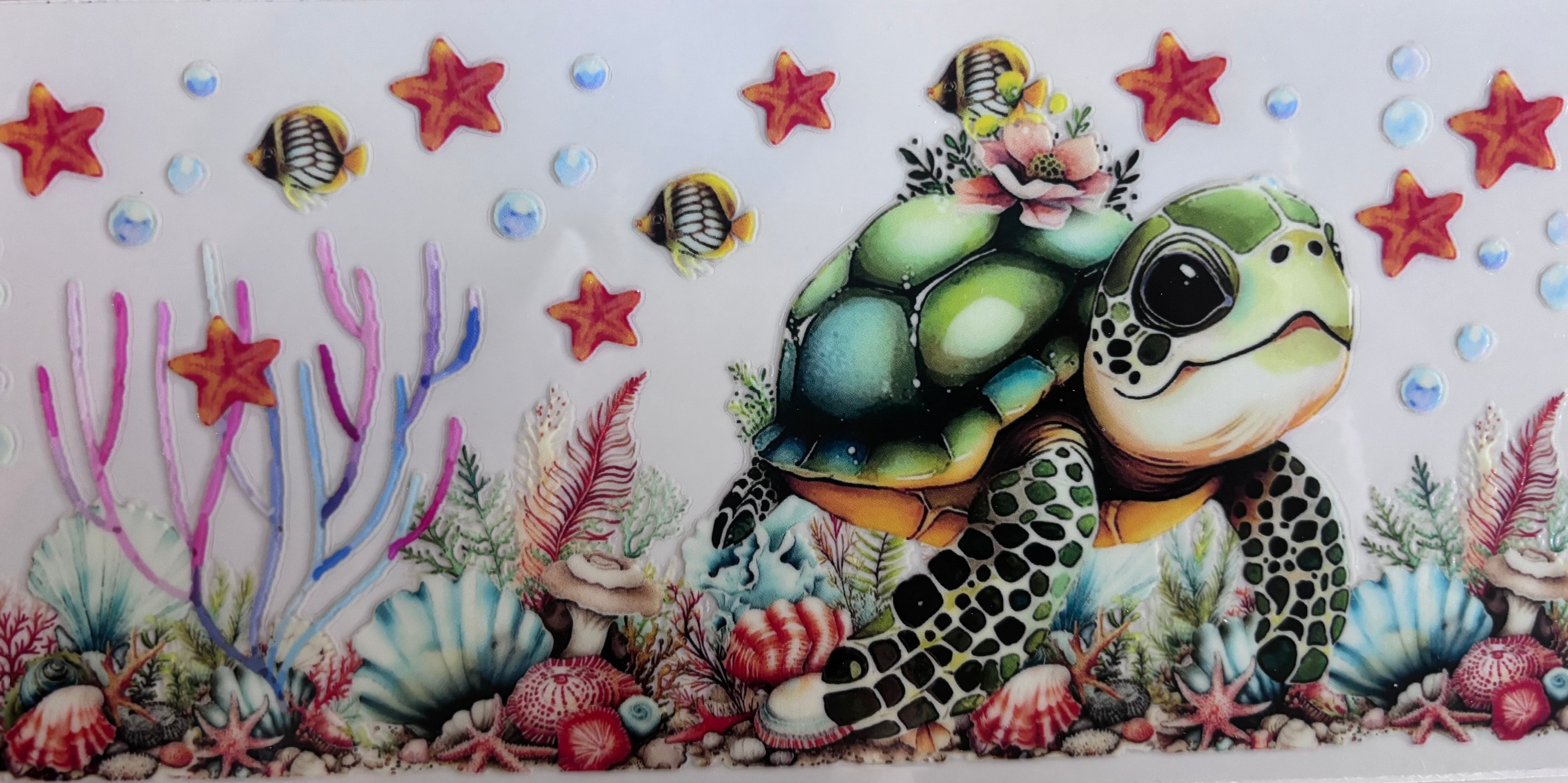 Turtle 7