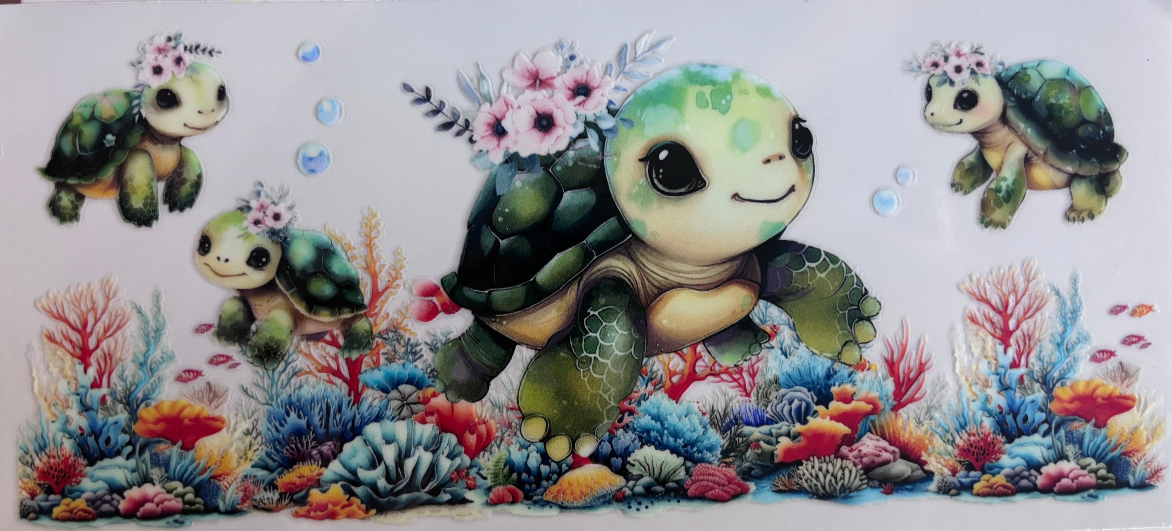 Baby Turtle