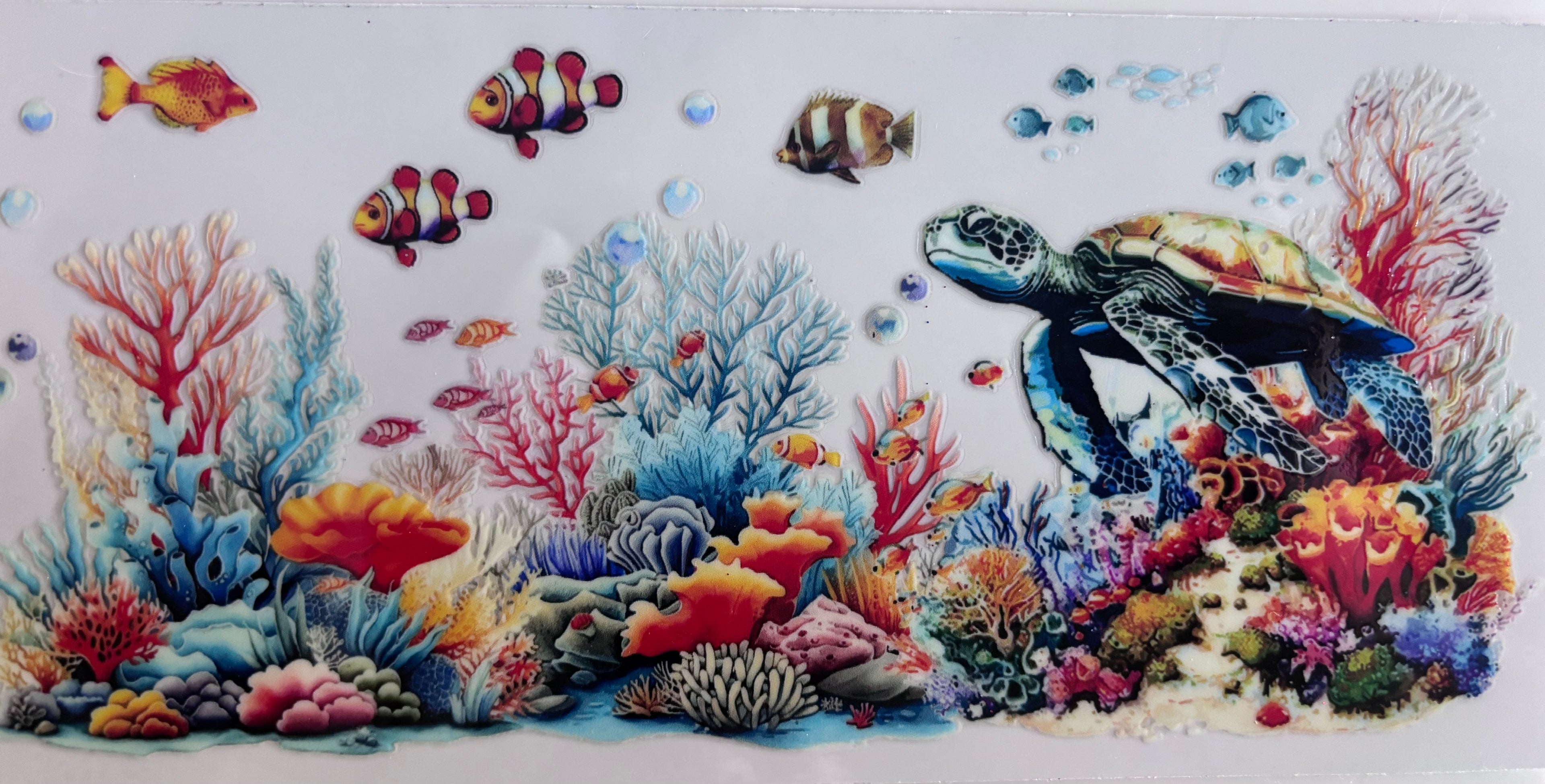 Turtle