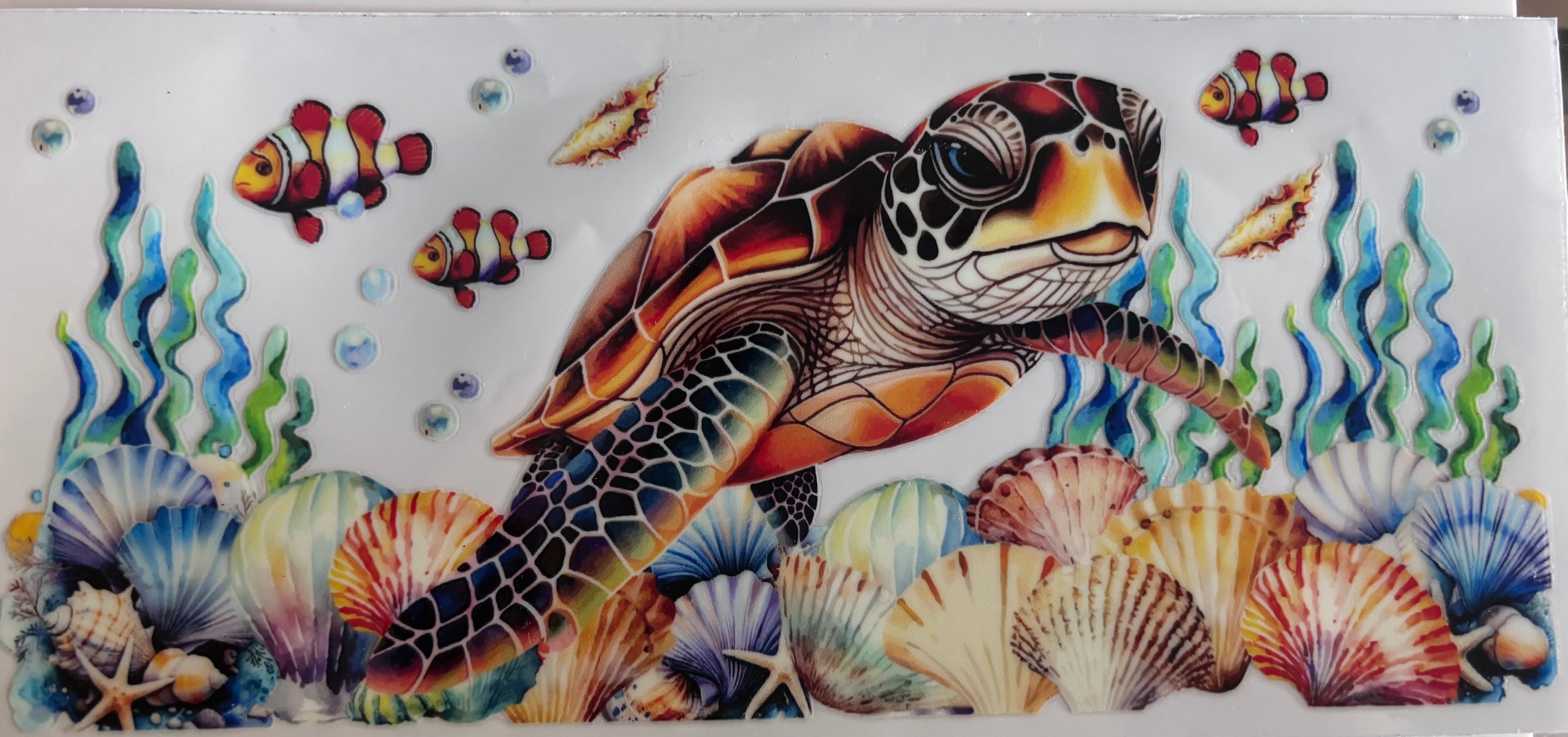 Turtle 2