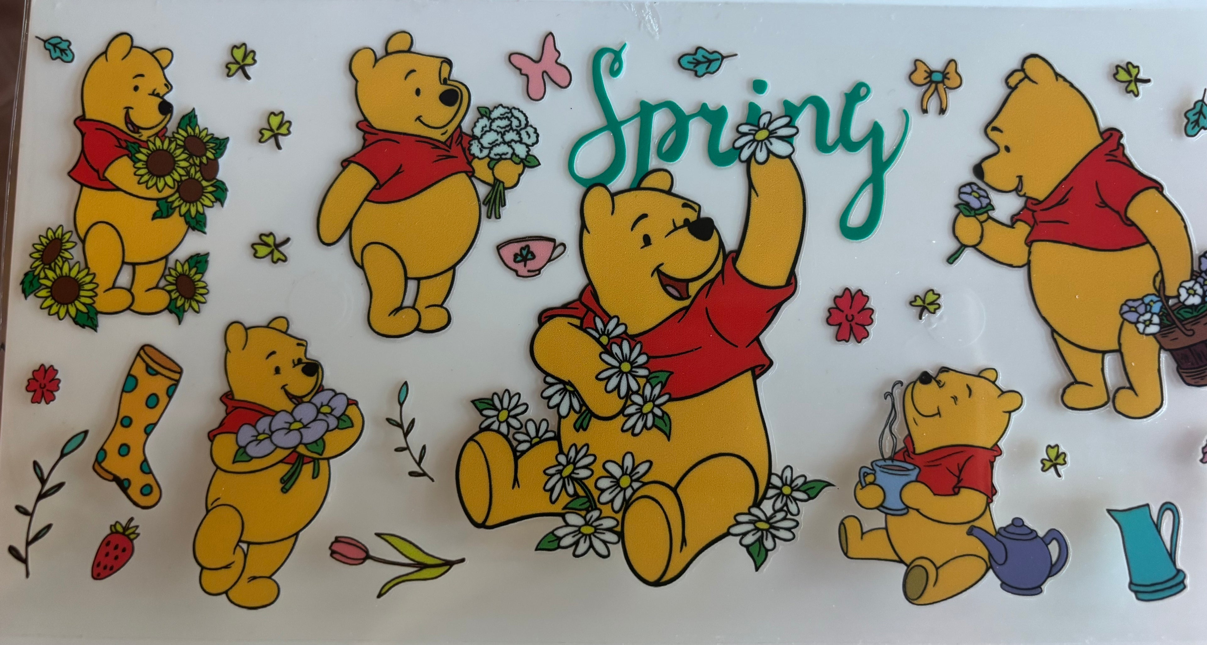 Winnie the Poo